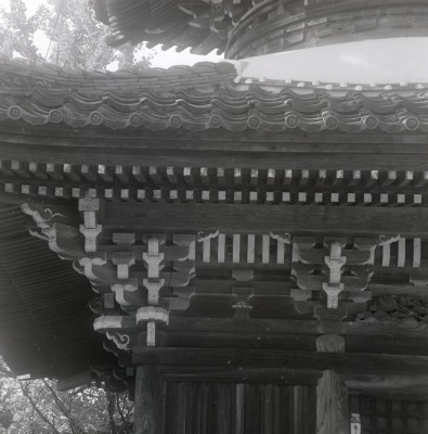 knd_01682(京都府亀岡市曽我部町穴太東ノ辻４６)