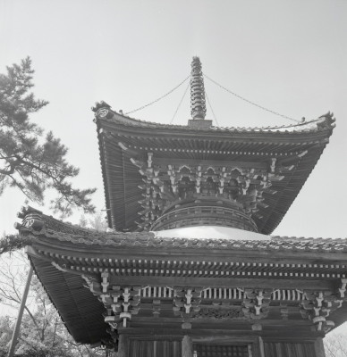 knd_01697(京都府亀岡市曽我部町穴太東ノ辻４６)
