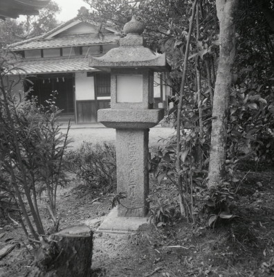 knd_01718(京都府城陽市富野荒見田１６５)