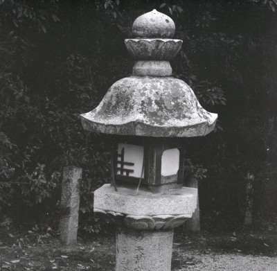 knd_01720(京都府城陽市富野荒見田１６５)