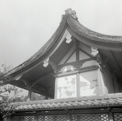 knd_01730(京都府城陽市富野荒見田１６５)