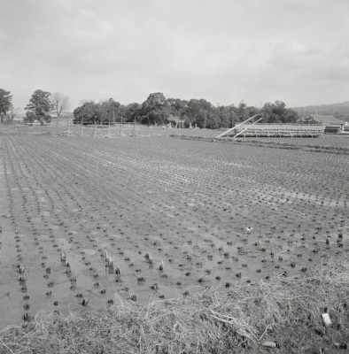 knd_01734(京都府城陽市富野荒見田１６５)