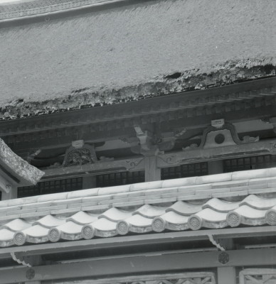 knd_01738(京都府城陽市富野荒見田１６５)