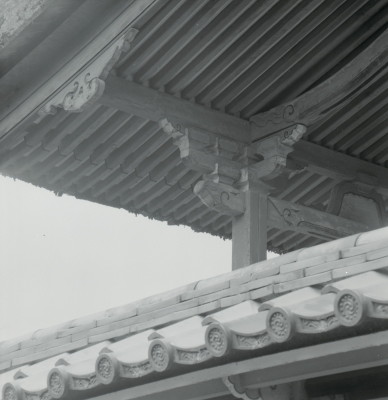 knd_01740(京都府城陽市富野荒見田１６５)