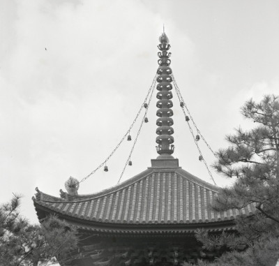 knd_01829(京都府京都市伏見区竹田中内畑町)