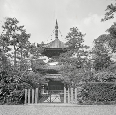 knd_01830(京都府京都市伏見区竹田中内畑町)