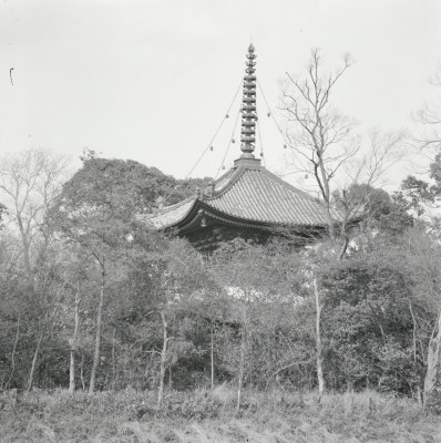 knd_01832(京都府京都市伏見区竹田中内畑町)