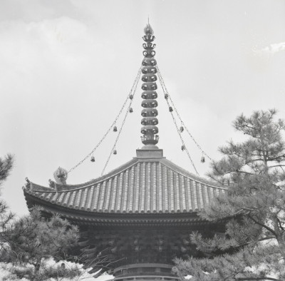 knd_01843(京都府京都市伏見区竹田中内畑町)