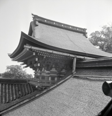 knd_02158(京都府八幡市八幡高坊30)