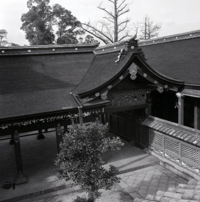 knd_02179(京都府八幡市八幡高坊30)