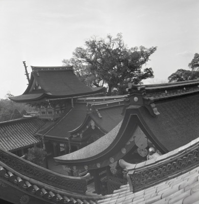 knd_02311(京都府八幡市八幡高坊30)