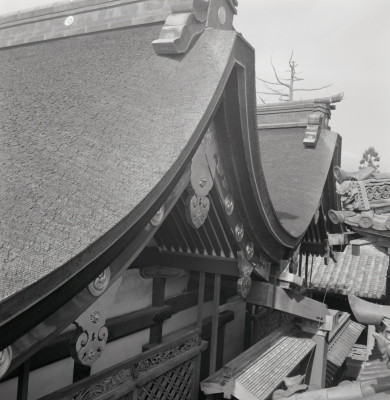 knd_02348(京都府八幡市八幡高坊30)