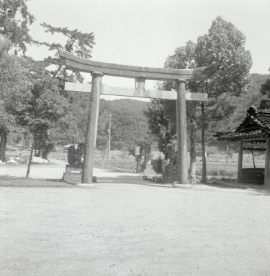 knd_02590(京都府与謝郡伊根町本庄浜１９１)