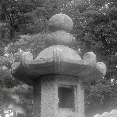 knd_02795(京都府京丹後市大宮町周枳１０２２)