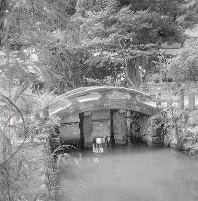 knd_02799(京都府京丹後市大宮町周枳１０２２)