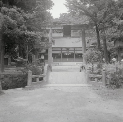 knd_02800(京都府京丹後市大宮町周枳１０２２)