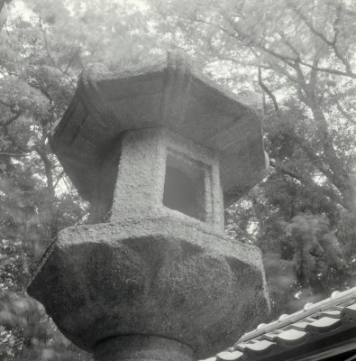 knd_02813(京都府京丹後市大宮町周枳１０２２)