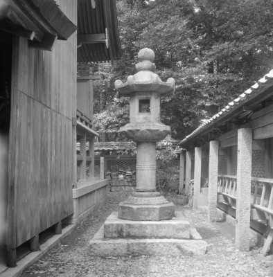 knd_02815(京都府京丹後市大宮町周枳１０２２)