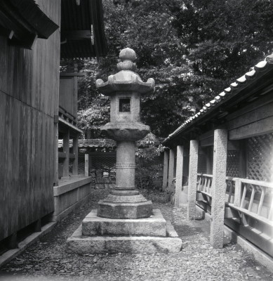 knd_02817(京都府京丹後市大宮町周枳１０２２)