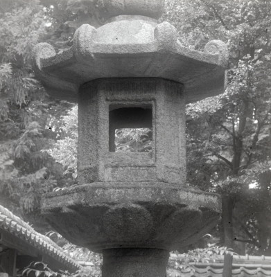 knd_02826(京都府京丹後市大宮町周枳１０２２)