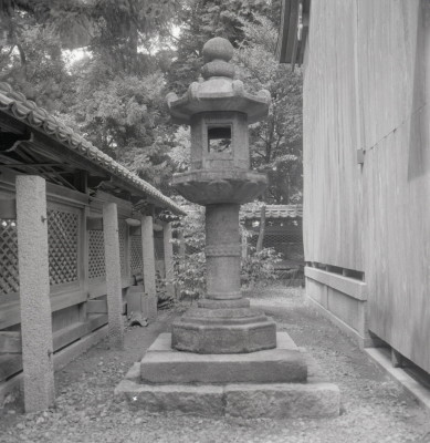knd_02829(京都府京丹後市大宮町周枳１０２２)