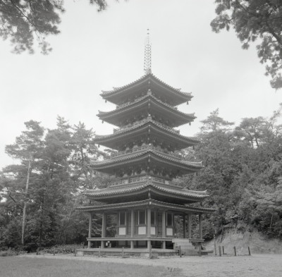 knd_02884(京都府木津川市加茂町例幣海住山境外２０)