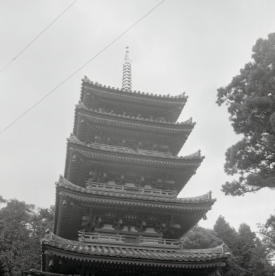 knd_02885(京都府木津川市加茂町例幣海住山境外２０)
