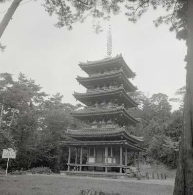 knd_02888(京都府木津川市加茂町例幣海住山境外２０)
