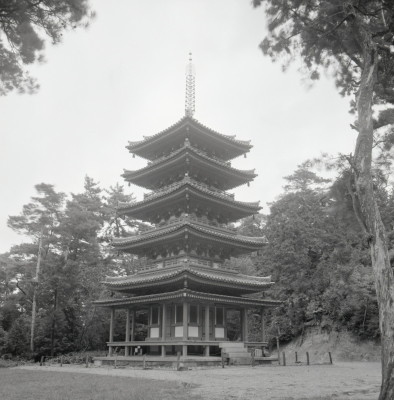 knd_02889(京都府木津川市加茂町例幣海住山境外２０)