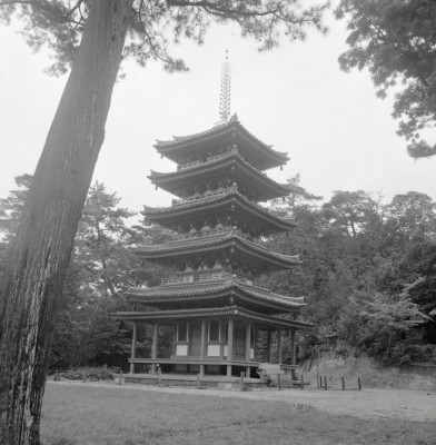 knd_02891(京都府木津川市加茂町例幣海住山境外２０)