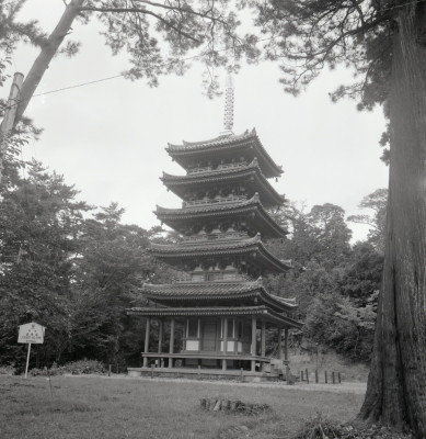 knd_02893(京都府木津川市加茂町例幣海住山境外２０)