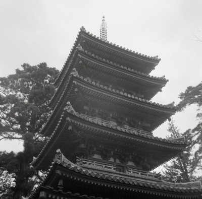 knd_02904(京都府木津川市加茂町例幣海住山境外２０)