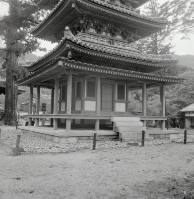 knd_02905(京都府木津川市加茂町例幣海住山境外２０)