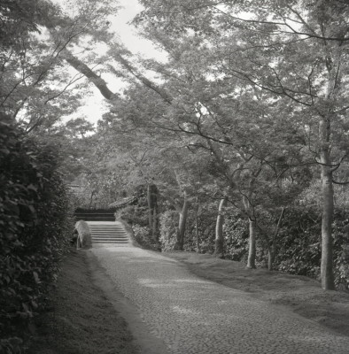knd_03041(京都府京都市西京区桂御園)