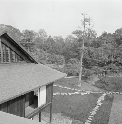 knd_03059(京都府京都市西京区桂御園)