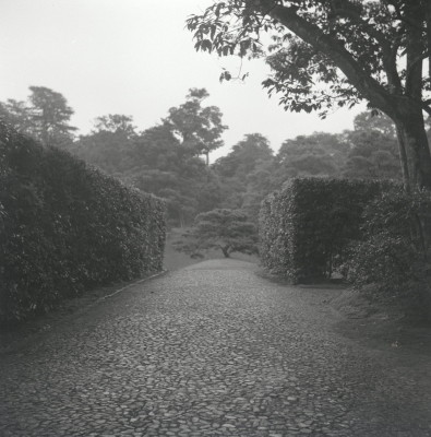 knd_03072(京都府京都市西京区桂御園)