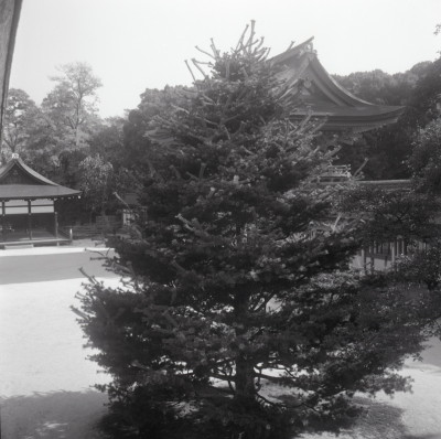 knd_03194(京都府京都市左京区下鴨泉川町59)