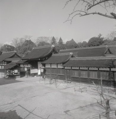 knd_03196(京都府京都市左京区下鴨泉川町59)