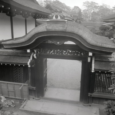 knd_03203(京都府京都市左京区下鴨泉川町59)