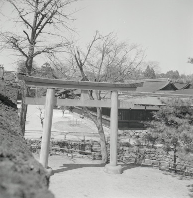 knd_03254(京都府京都市左京区下鴨泉川町59)