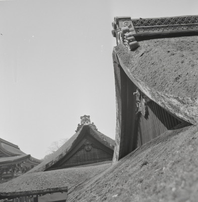 knd_03255(京都府京都市左京区下鴨泉川町59)