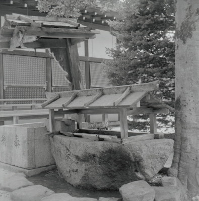 knd_03290(京都府京都市左京区下鴨泉川町59)