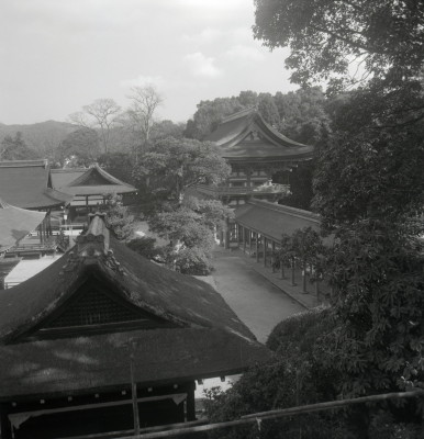 knd_03309(京都府京都市左京区下鴨泉川町59)