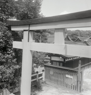 knd_03328(京都府京都市左京区下鴨泉川町59)