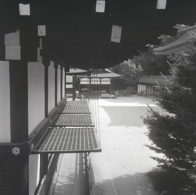 knd_03345(京都府京都市左京区下鴨泉川町59)