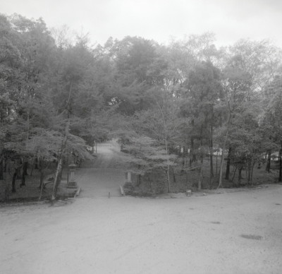 knd_03357(京都府京都市左京区下鴨泉川町59)