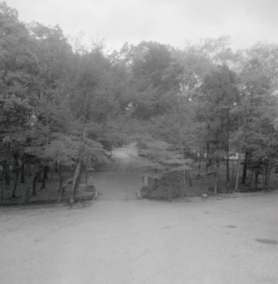 knd_03358(京都府京都市左京区下鴨泉川町59)