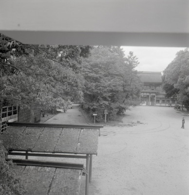 knd_03360(京都府京都市左京区下鴨泉川町59)