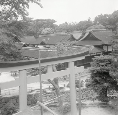 knd_03363(京都府京都市左京区下鴨泉川町59)