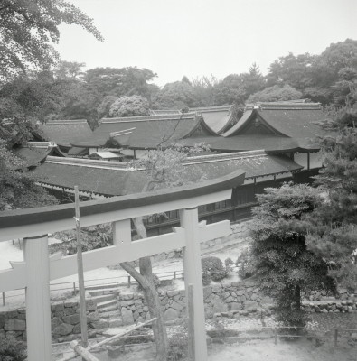 knd_03364(京都府京都市左京区下鴨泉川町59)